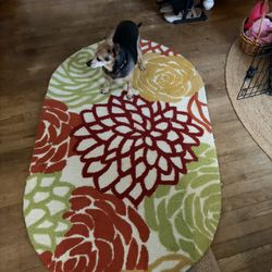 3x5 Oval Rug