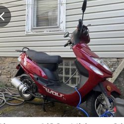 2023 Wolf Brand Scooter 