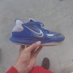 Blue Kyrie's