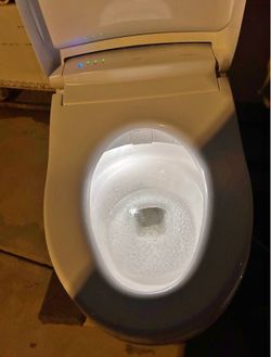 TOTO NEOREST RH MS988CUMFG LUXARY BIDET TOILET
