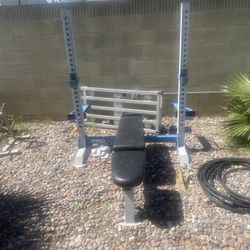 Weight Bench/ Squat 