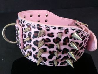 Dog Spike Collar
