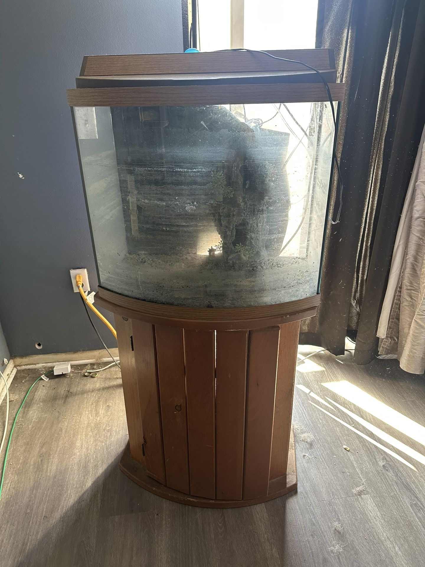 Aquarium For Sale 