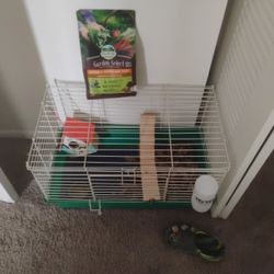 Rat Cage Setup