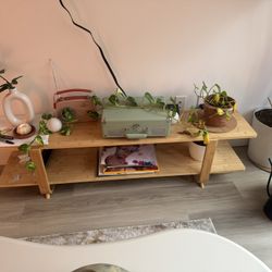 Wooden TV Stand 