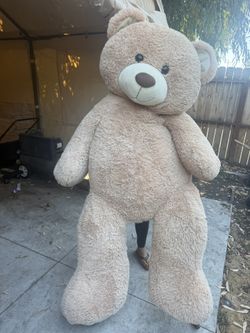 Large Teddy Bear
