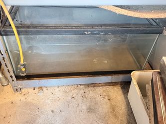 Medium sized aquarium
