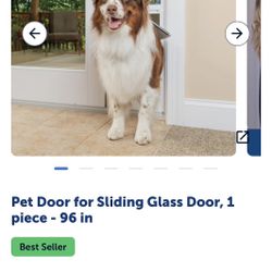 Pet Safe Dog Door Large