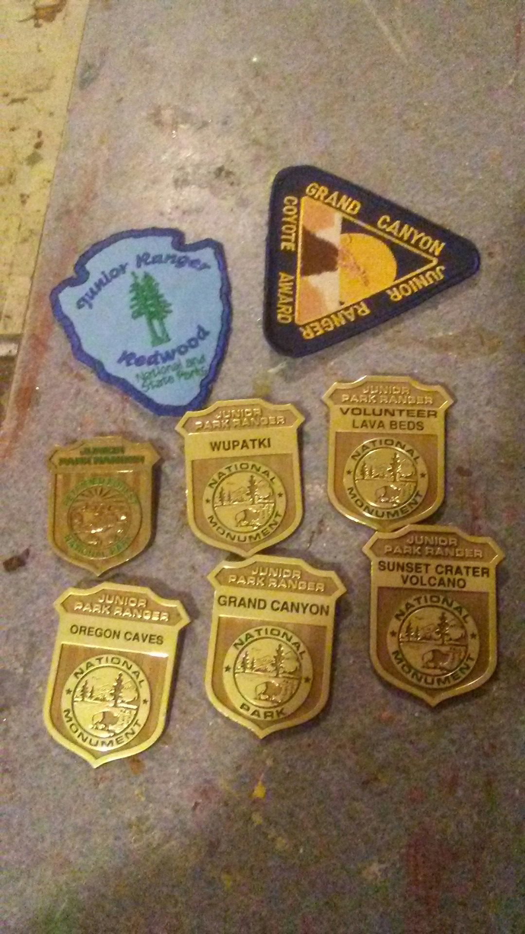 Junior park ranger badges