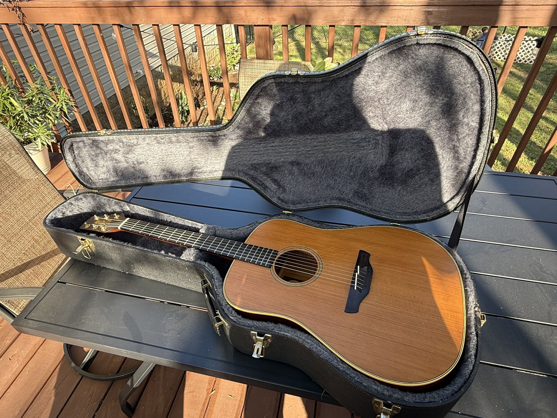 Takamine N-10