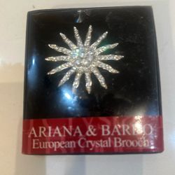 Ariana & Bardo European Crystal Starburst Brooch – Silver Tone