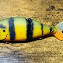 Peacock Bass Custom Painted Glide Bait