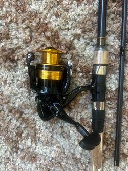 Daiwa D- Shock fishing rod and reel combo