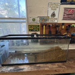 55 gallon fish + supplies