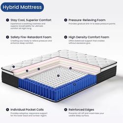 Queen 10Inch Mattress