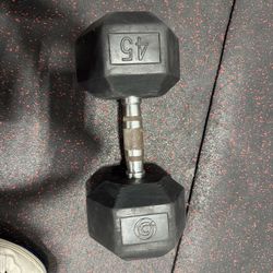 45 lb Rubber Hex Dumbbell