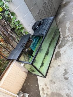 Fish tank
