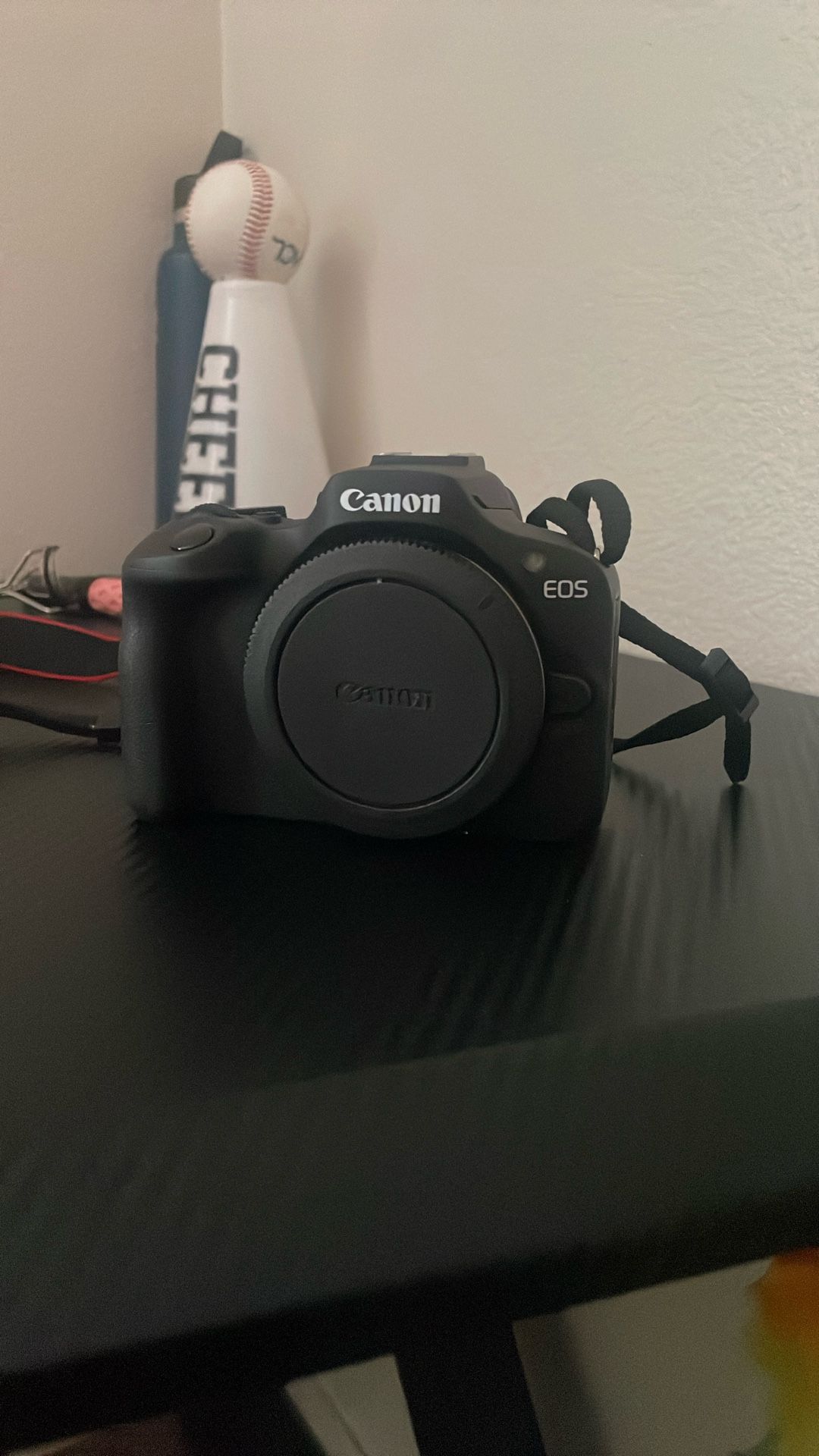 Canon EOS R100
