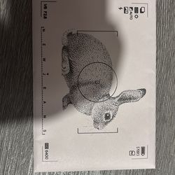 New jeans photos from yearbook 2022-2023