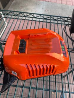 Echo LC-56V2A  eFORCE™ 56V Lithium-Ion Standard Charger.
