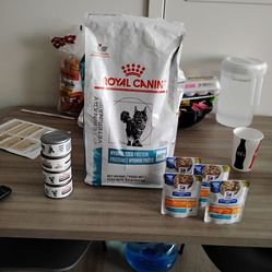 Dog Food