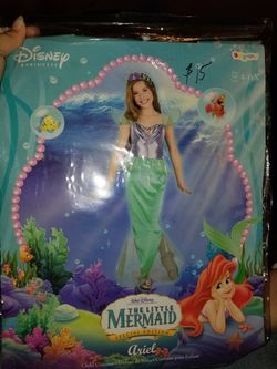Ariel costume new