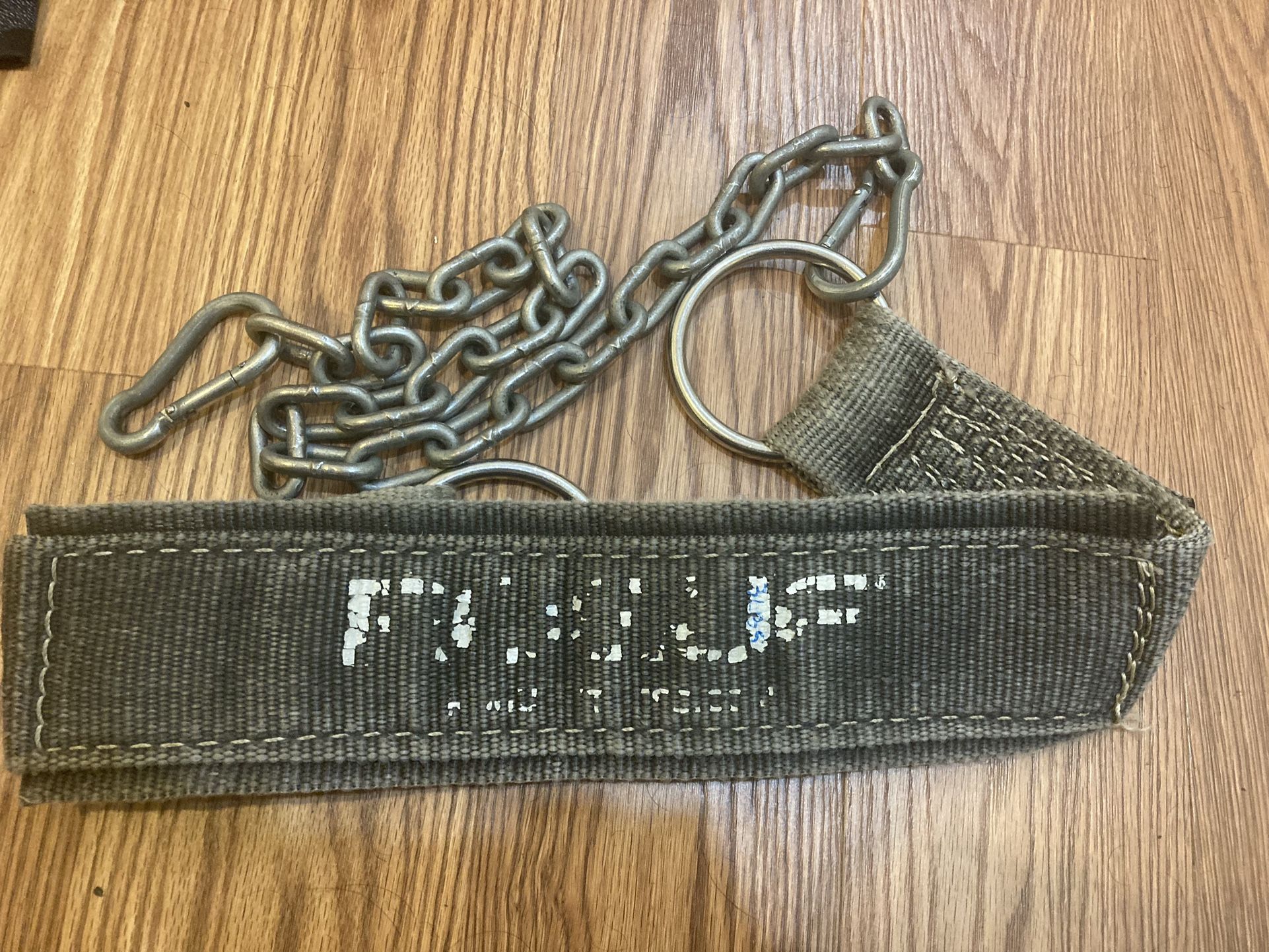 Rogue Dip Belt