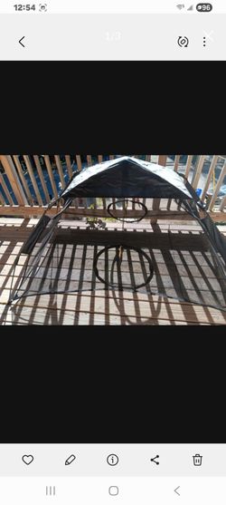 Pets outside play tent