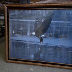 Eagle Over Water Framed Art