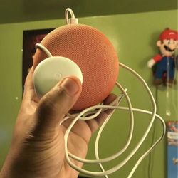 Google Nest Mini