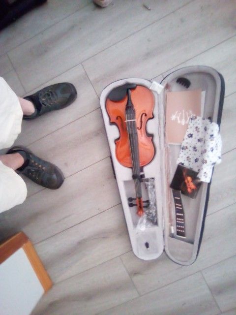 Brand New Maplewood 4/4 Full Size Violin