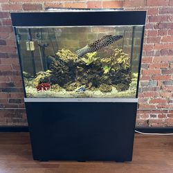 Saltwater Aquarium Full Set Up With 
