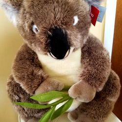 Limited Edition Koala Bear