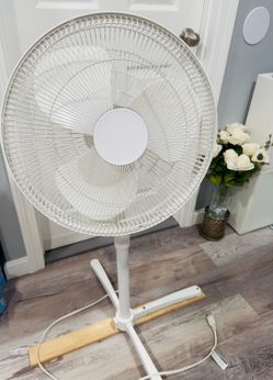 Fan
