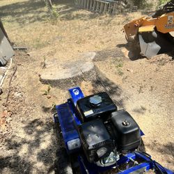 Stump Grinding 