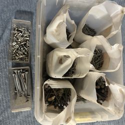 Different Kinds Of Nails And Screws 