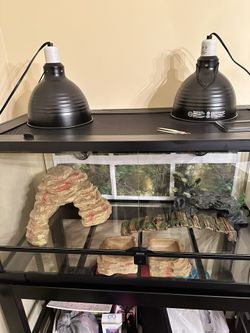 Reptile (bearded Dragon) Enclosure