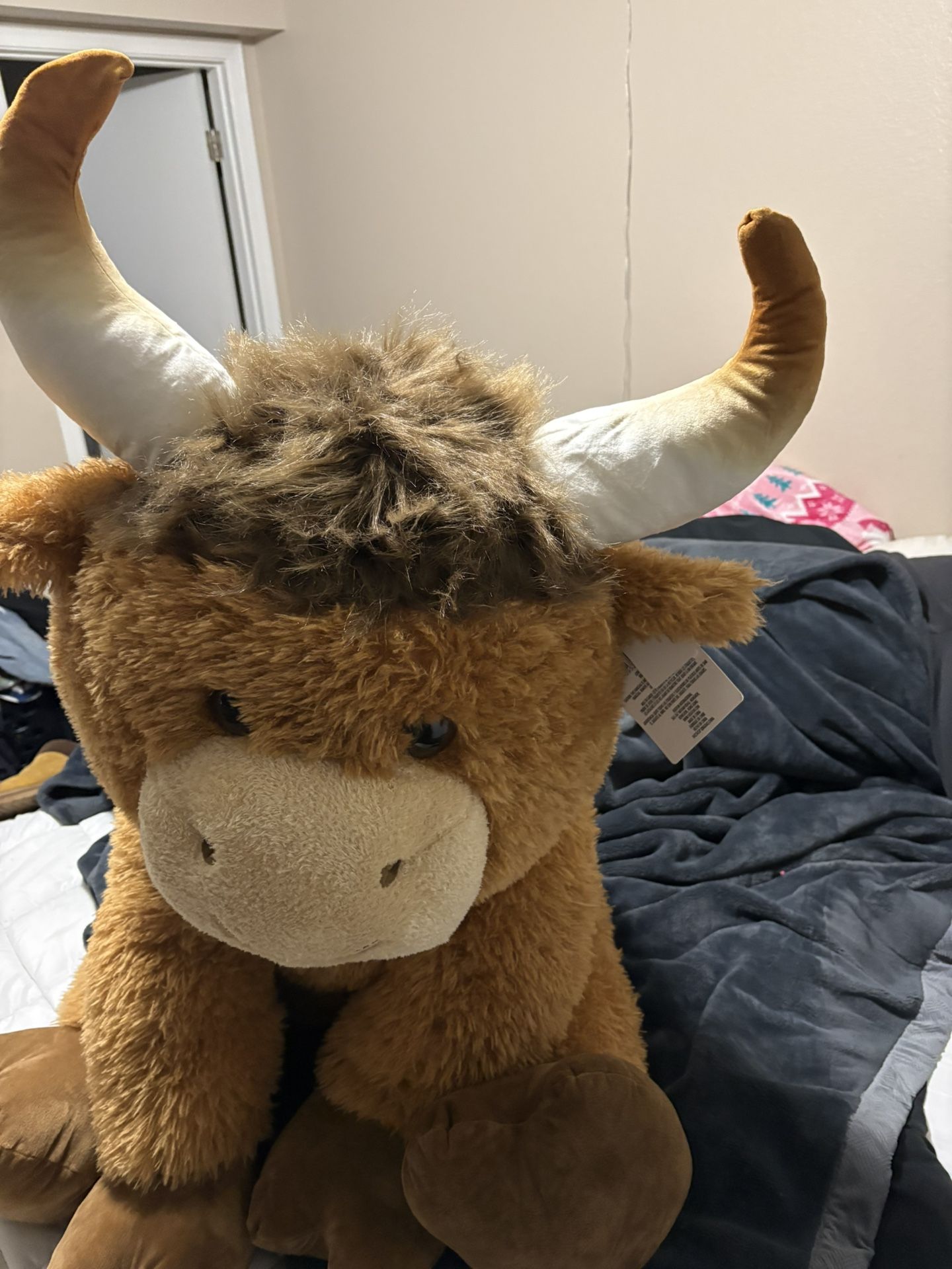 Jumbo Long Horn 