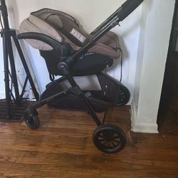 Brown And Black 