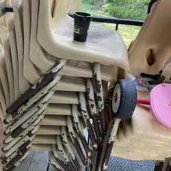 Adult Chairs, Medium