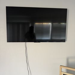 55 Inch TV TLC