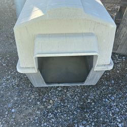 Dog House