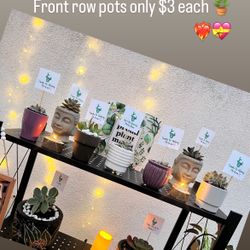 Mother’s Day Succulent Pots With Message 