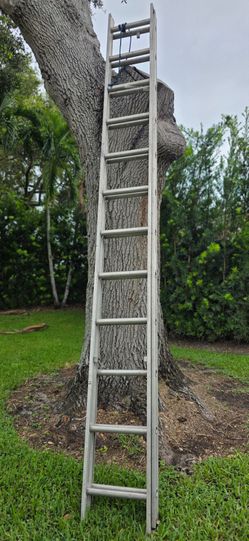 24ft Aluminum Extension Ladder