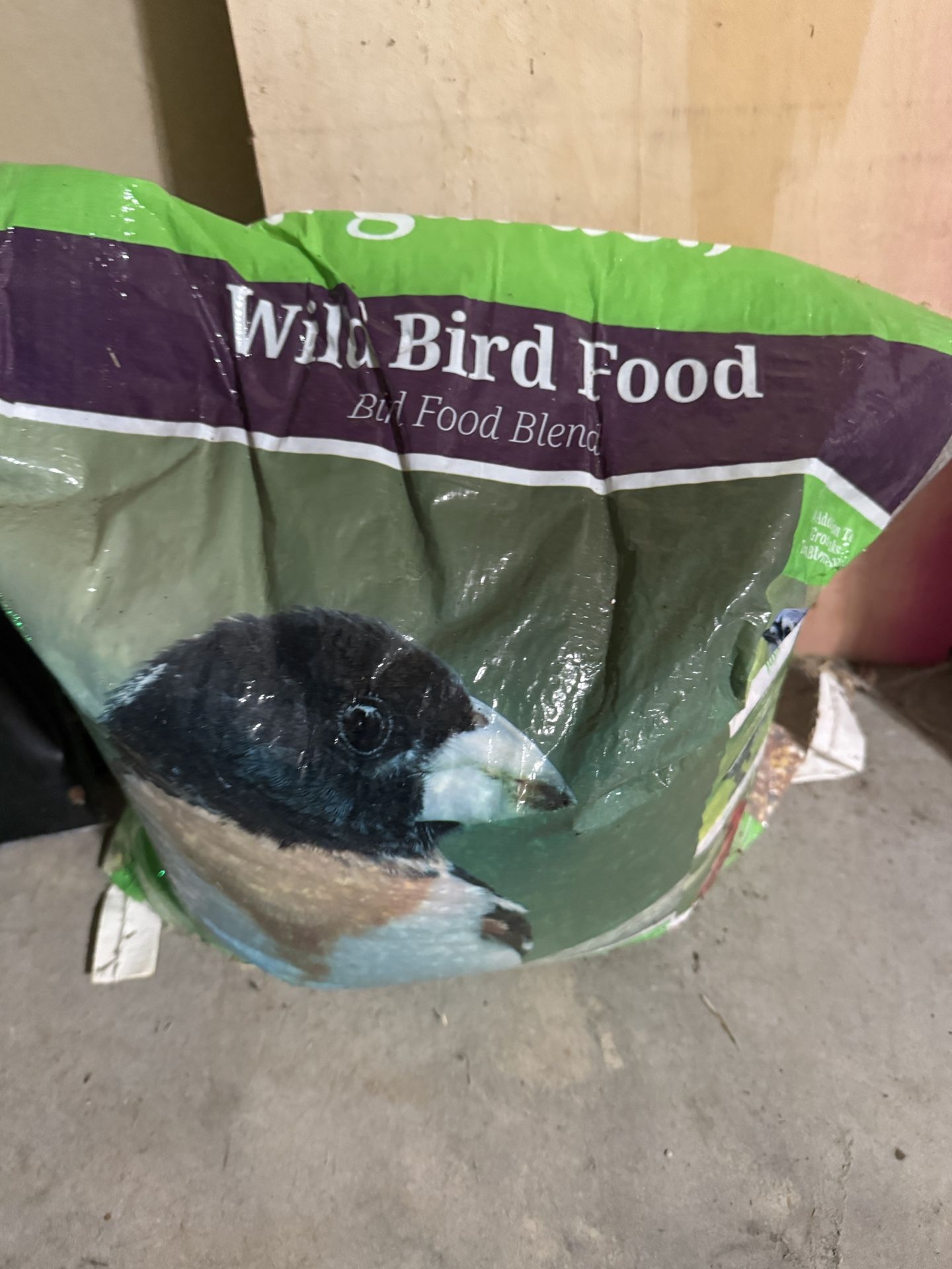 Free - Wild Bird Food