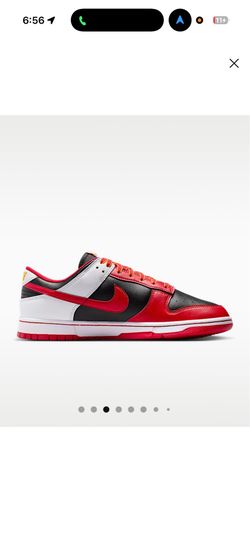 Nike dunks 10.5