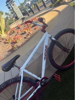 Throne 29er
