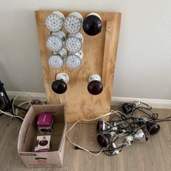 Light therapy and heat lamp bulbs