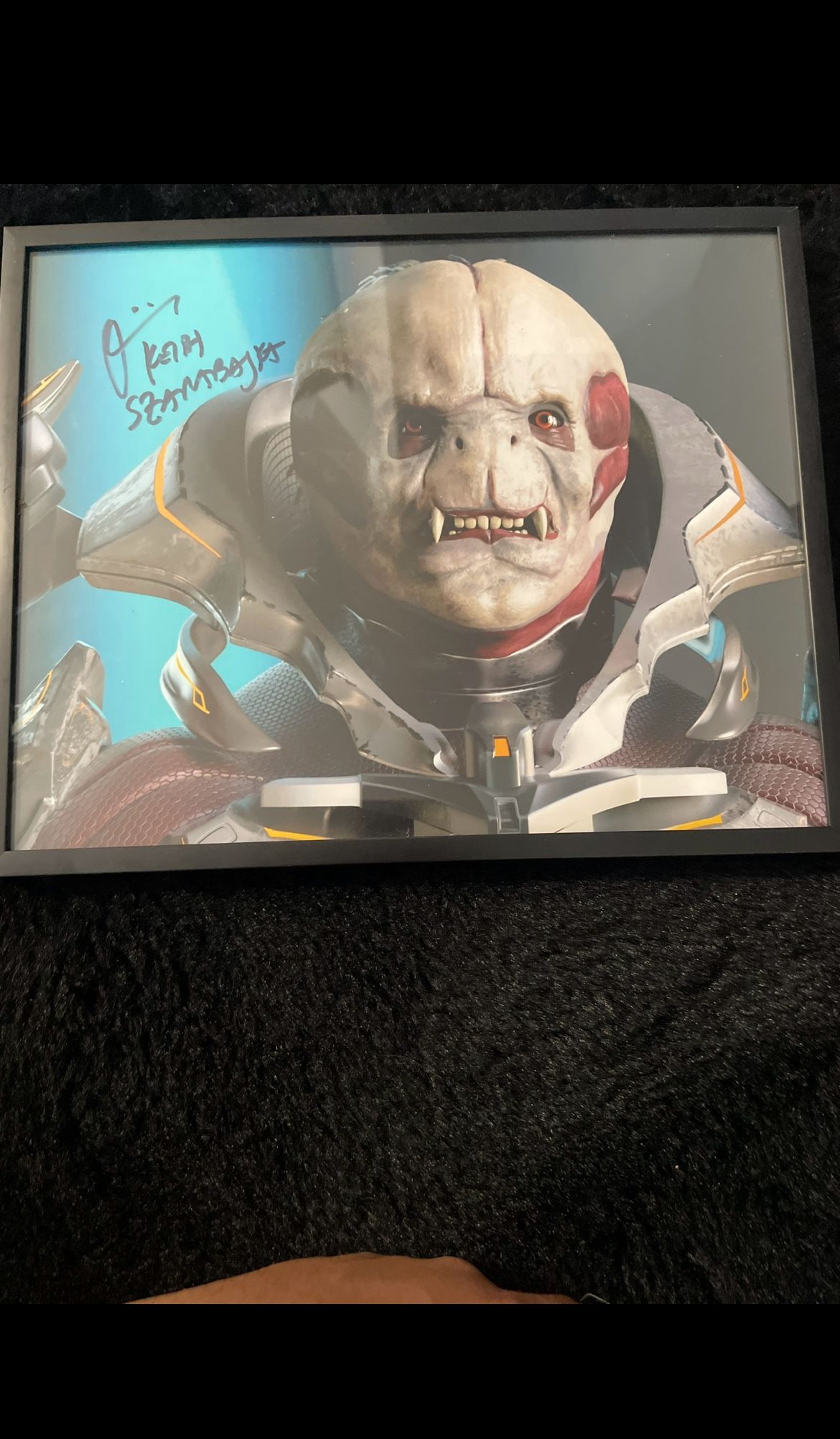 Signed Halo Poster