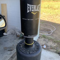 Everlast Power Core Standing Heavy Bag